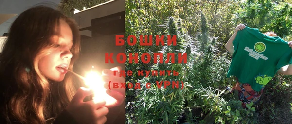 СК Волоколамск